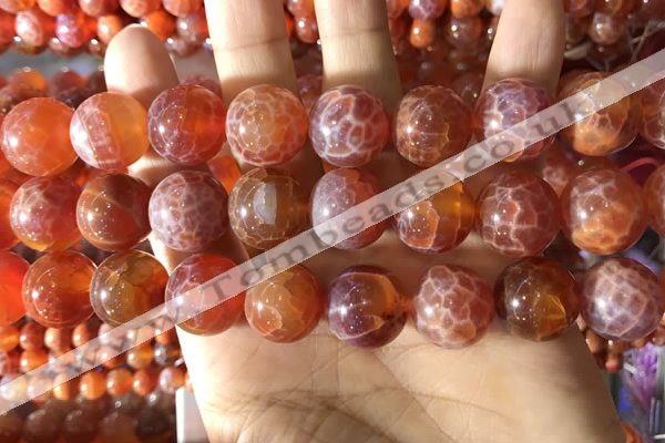 CAA5076 15.5 inches 16mm round red dragon veins agate beads