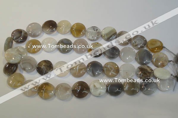 CAG2438 15.5 inches 18mm flat round Chinese botswana agate beads