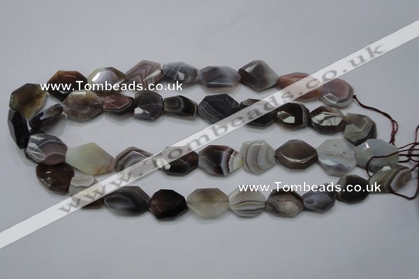 CAG990 15.5 inches 15*20mm faceted freeform botswana agate beads