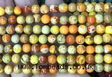 CDE3114 15 inches 6mm round sea sediment jasper beads wholesale