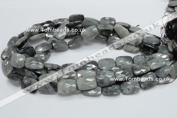 CEE34 15.5 inches 15*20mm faceted rectangle eagle eye jasper beads