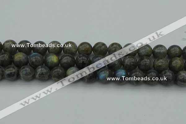 CLB952 15.5 inches 16mm round labradorite gemstone beads