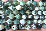 CME823 15 inches 8*10mm faceted bicone tree agate beads