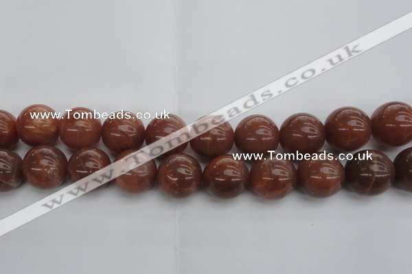 CMS1008 15.5 inches 20mm round AA grade moonstone gemstone beads