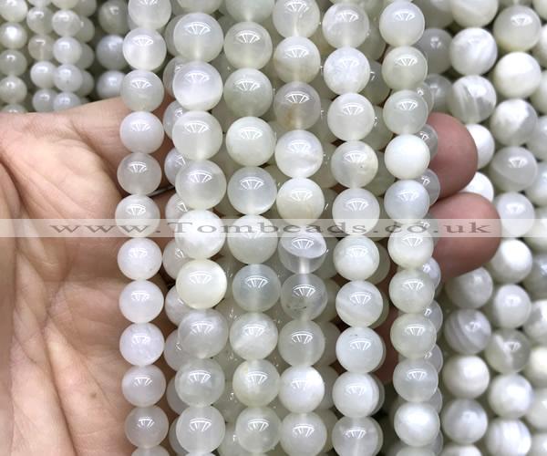 CMS2351 15 inches 8mm round white moonstone beads wholesale