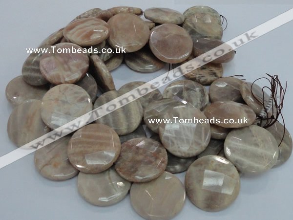 CMS49 15.5 inches 40mm faceted coin moonstone gemstone beads