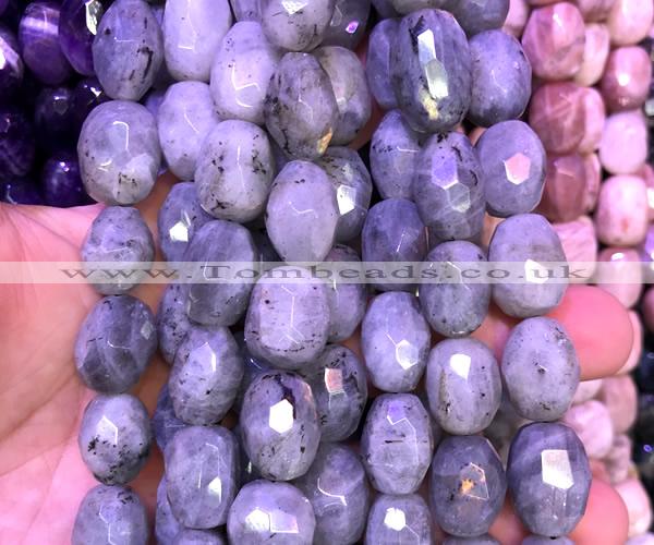 CNG9362 15 inches 12*16mm - 15*20mm faceted nuggets labradorite beads