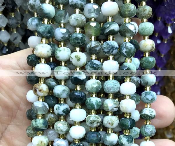 CRB6040 15 inches 6*8mm faceted rondelle tree agate beads