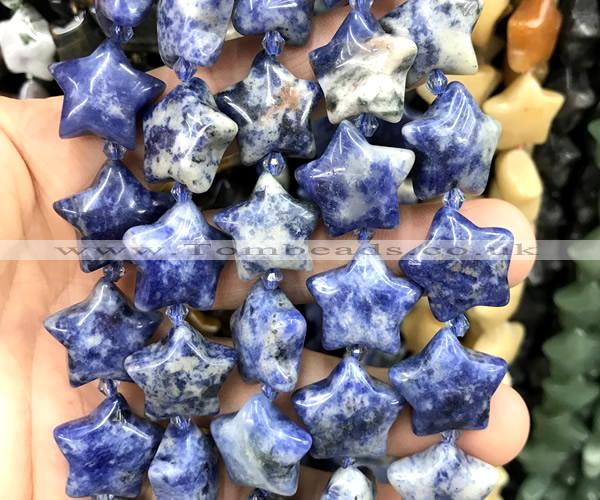 CRG101 15 inches 20mm star sodalite gemstone beads wholesale