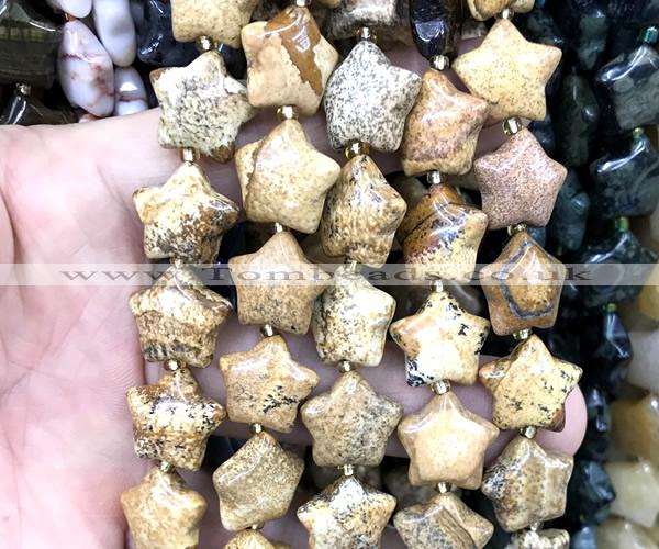 CRG75 15 inches 16mm star picture jasper beads wholesale