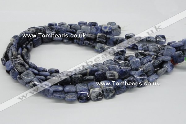 CSO44 15.5 inches 14*14mm square sodalite gemstone beads wholesale