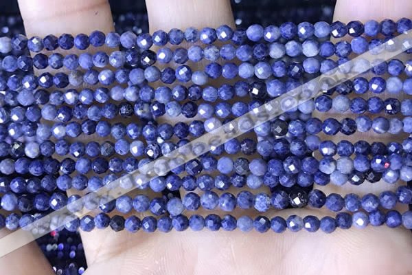 CTG1518 15.5 inches 3mm faceted round sapphire gemstone beads