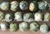 CTG3578 15.5 inches 4mm faceted round rhyolite beads wholesale