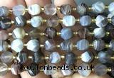 CTW584 8mm faceted & twisted S-shaped Botswana agate beads