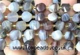 CTW690 10mm faceted & twisted S-shaped Botswana agate beads