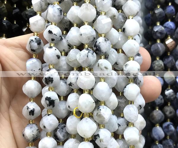 CTW703 15 inches 10mm faceted & twisted S-shaped white moonstone beads